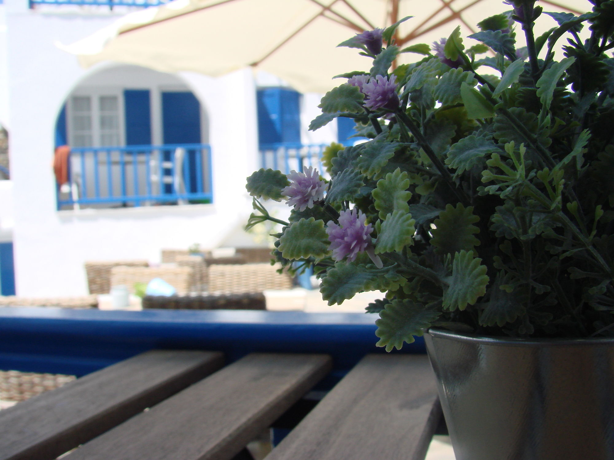Εvi Evan Hotel Galissas Exterior photo